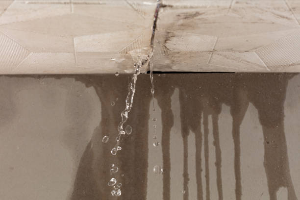 Professional Burst Pipe Cleanup technician working in Walker, LA